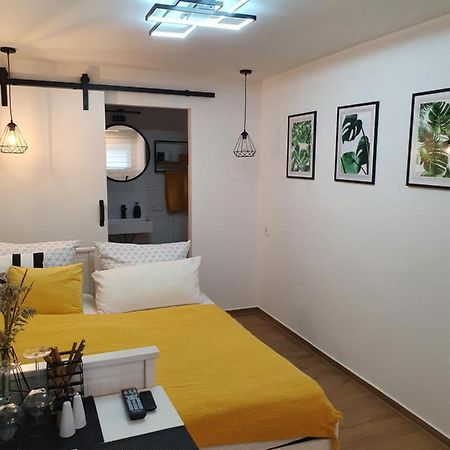 Studio-Apartment Kontaktloser Check-In Meckenbeuren Bagian luar foto