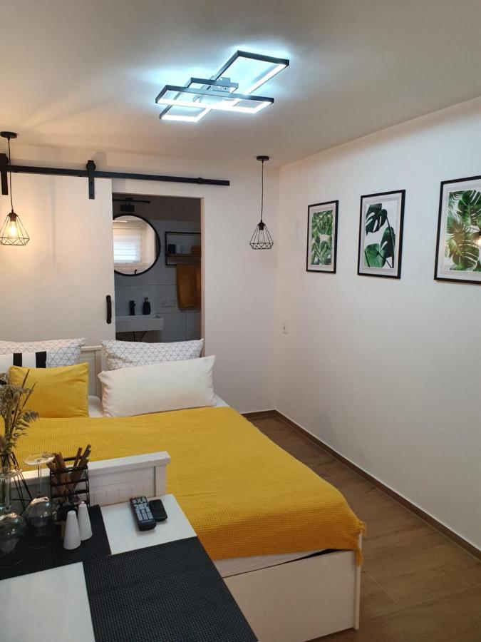 Studio-Apartment Kontaktloser Check-In Meckenbeuren Bagian luar foto